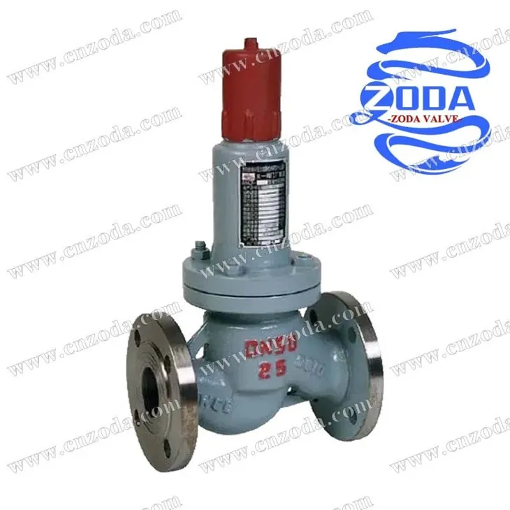 Parallel backflow pressure safety relief valve-4